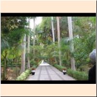 2018-12_161 Aswan Botanical Gardens.JPG